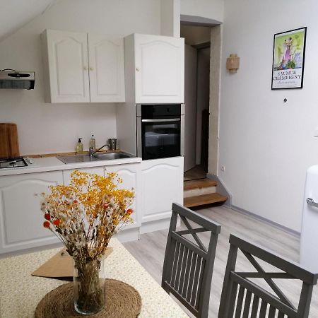 Bel Appt 3 Pieces, A L'Etage, Jardin Privatif, Au Calme, 10 Mn Saumur Et Cnpe Varennes-sur-Loire Εξωτερικό φωτογραφία