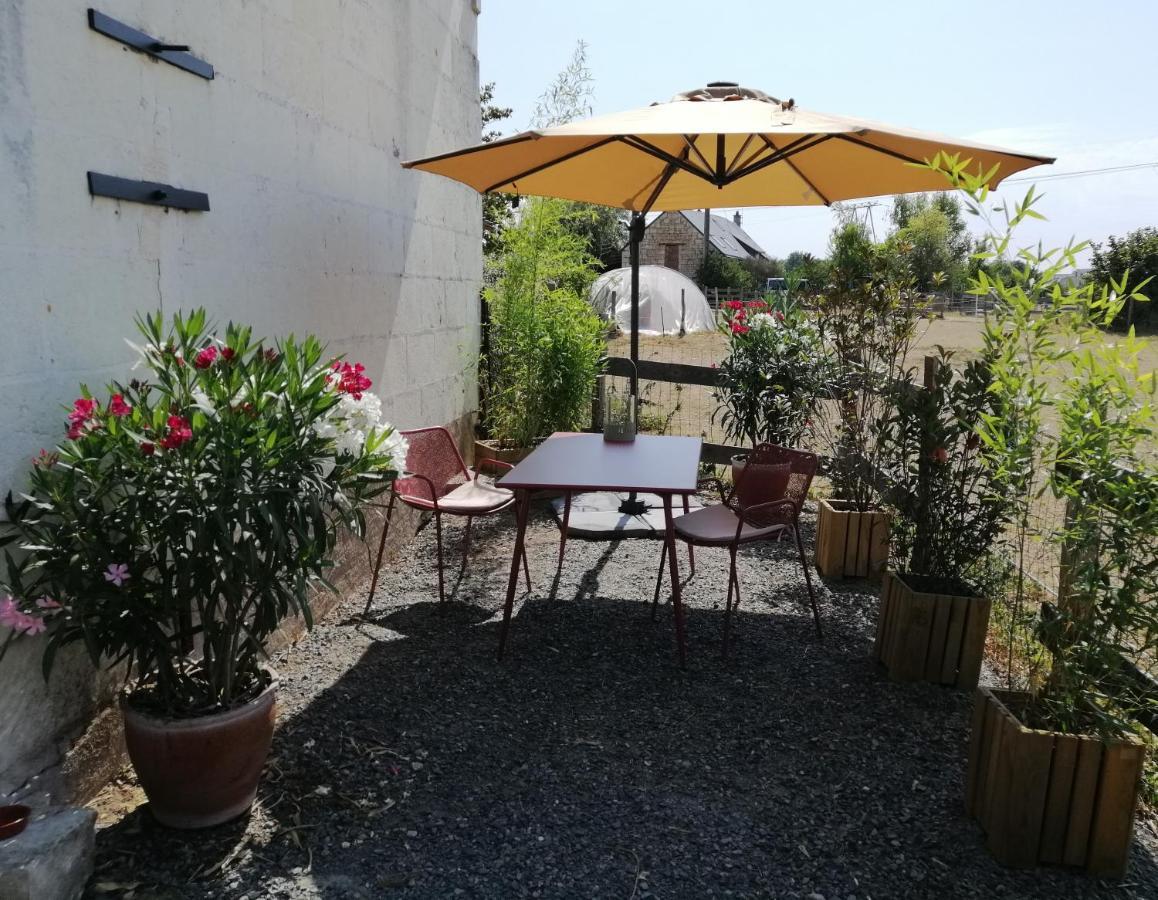 Bel Appt 3 Pieces, A L'Etage, Jardin Privatif, Au Calme, 10 Mn Saumur Et Cnpe Varennes-sur-Loire Εξωτερικό φωτογραφία