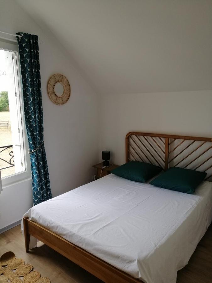 Bel Appt 3 Pieces, A L'Etage, Jardin Privatif, Au Calme, 10 Mn Saumur Et Cnpe Varennes-sur-Loire Εξωτερικό φωτογραφία